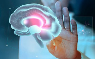 SyNAPSE – Das digitale Gehirn der Zukunft? Zwischen neuromorpher Revolution und technokratischer Kontrolle