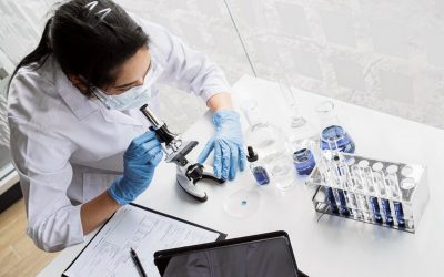 High Imitation Food – Wenn das Leben nachgemacht wird