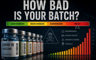 How Bad Is My Batch – Was steckt hinter der Datenbank?